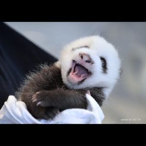 Meet your Posher, Lexi